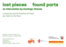 Mother Of Pearl Doming Chaves 2025 Lost pieces found parts Flora Pontemporary Kulturdrogerie