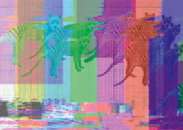 Mother Of Pearl Nika Pfeifer Tiger Toast 2025 Flora Pontemporary Kulturdrogerie